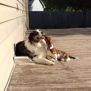 Meet your Posher, Terri